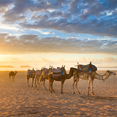 Agadir