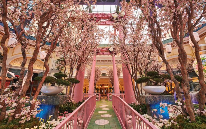Hotel - - Bellagio
