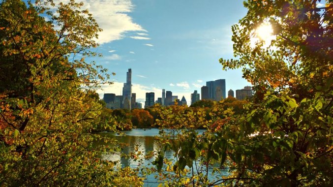 New York - Skyline