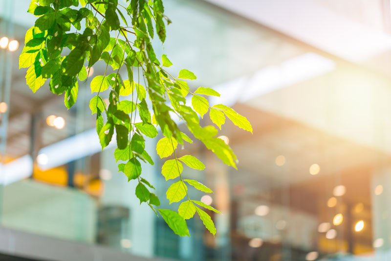 Green hotels